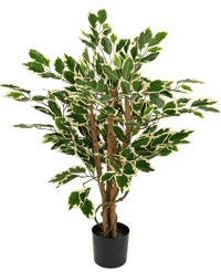 Plante artificielle Ficus vert/blanc 90 cm