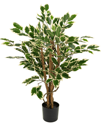 Plante artificielle Ficus vert/blanc 90 cm
