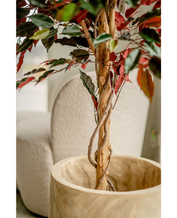 Plante artificielle Ficus vert/rouge 150 cm