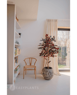 Plante artificielle Ficus vert/rouge 150 cm
