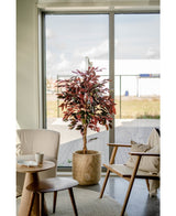 Plante artificielle Ficus vert/rouge 150 cm