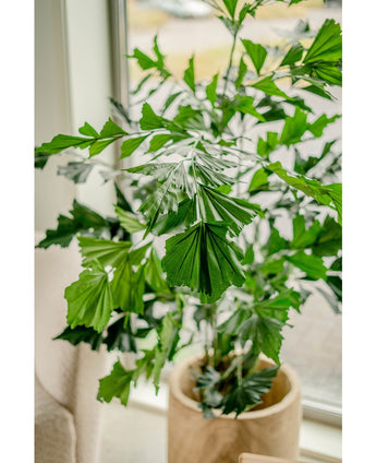 Plante artificielle Fishtail Palm 160 cm