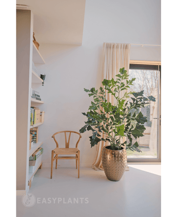 Plante artificielle Fishtail Palm 160 cm