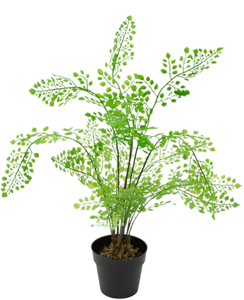 Plante artificielle Fougère 35 cm
