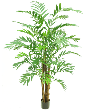 Plante artificielle Hawaii Parlour 180 cm