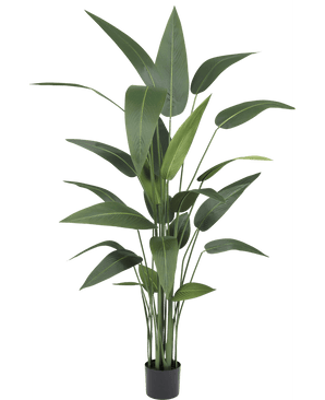 Plante artificielle Heliconia 170 cm