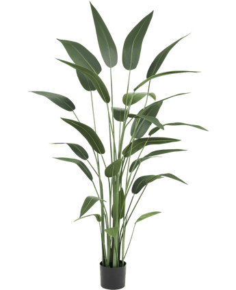 Plante artificielle Heliconia 180 cm