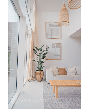 Plante artificielle Heliconia 180 cm