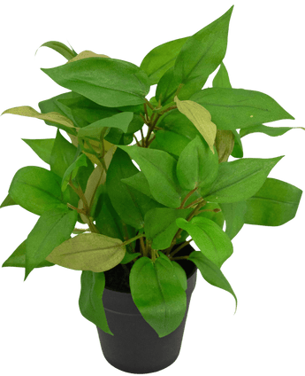 Plante artificielle "House Wanderer" dans un pot de 35 cm