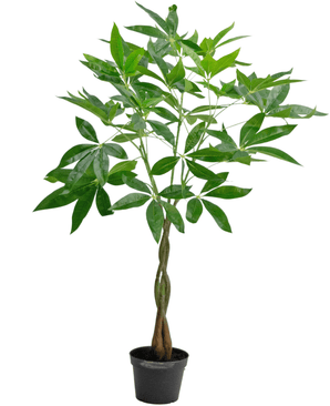 Plante artificielle Pachira 90 cm