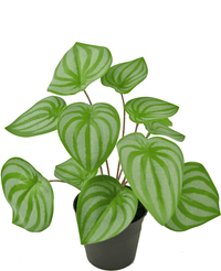 Plante artificielle Pastèque 29 cm