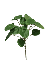 Plante artificielle Pilea Pancake 50 cm