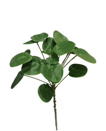 Plante artificielle Pilea Pancake 50 cm