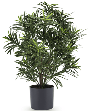 Plante artificielle Podocarpus 47 cm