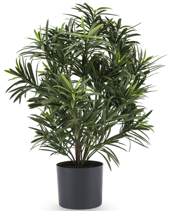 Plante artificielle Podocarpus 47 cm