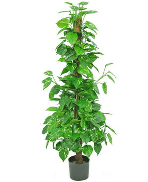 Plante artificielle Pothos 150 cm