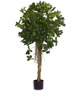 Plante artificielle Schefflera small leaf 150 cm