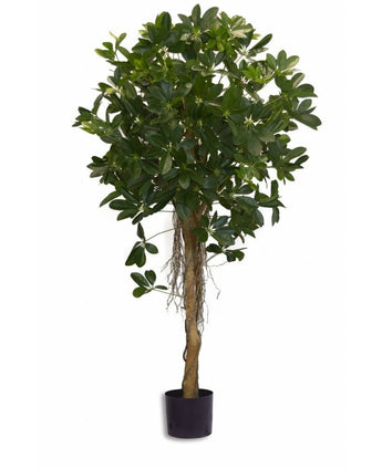 Plante artificielle Schefflera small leaf 150 cm