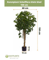 Plante artificielle Schefflera small leaf 150 cm