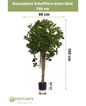 Plante artificielle Schefflera small leaf 150 cm