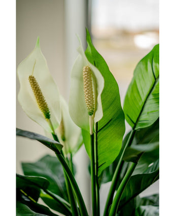 Plante artificielle Spathiphyllum blanc 85 cm