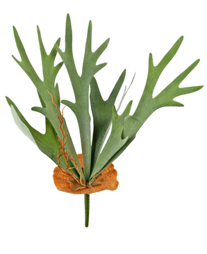 Plante artificielle Staghorn 53 cm