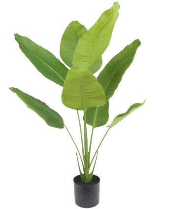 Plante artificielle Strelitzia 120 cm real touch