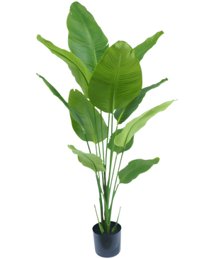 Plante artificielle Strelitzia 150 cm real touch