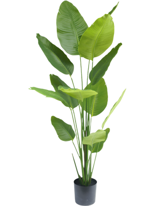 Plante artificielle Strelitzia 180 cm real touch