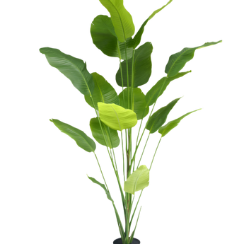 Plante artificielle Strelitzia 210 cm real touch