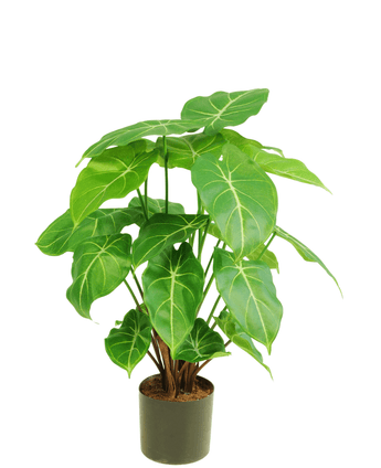 Plante artificielle Syngonium 58 cm
