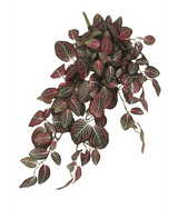 Plante artificielle à suspendre au mur Fittonia Rouge et blanc 70 cm