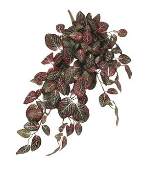 Plante artificielle à suspendre au mur Fittonia Rouge et blanc 70 cm
