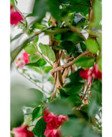Plante artificielle de bougainvilliers Liana Fuchsia 115 cm