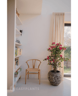 Plante artificielle de bougainvilliers Liana Fuchsia 115 cm