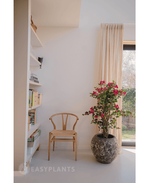 Plante artificielle de bougainvilliers Liana Fuchsia 115 cm