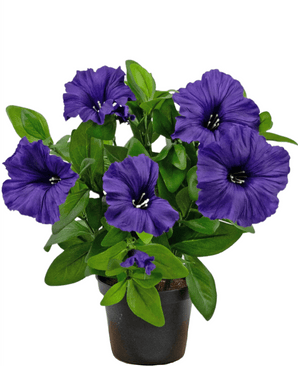 Plante artificielle de pétunia 25 cm violet