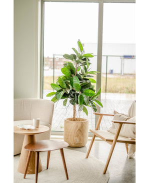 Plante artificielle en caoutchouc 150 cm