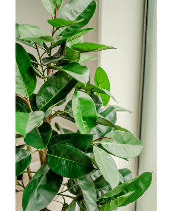 Plante artificielle en caoutchouc 150 cm