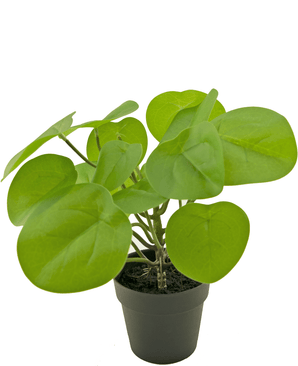 Plante artificielle en forme de crêpe 27 cm