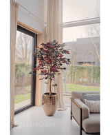 Plante artificielle ignifuge Ficus vert/rouge 180 cm