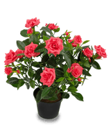 Plante artificielle mini rose 35 cm