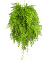 Plante artificielle tombante Fougère avec racines d80 cm avec système de suspension