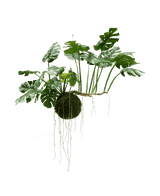 Plante artificielle tombante Monstera Deluxe 80 cm