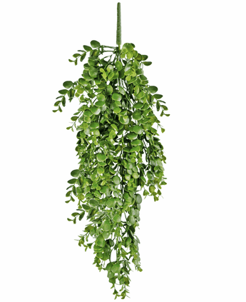 Plante artificielle tombante Pancake 61 cm