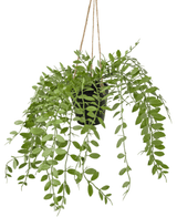 Plante artificielle tombante Pumila dans un pot 30 cm