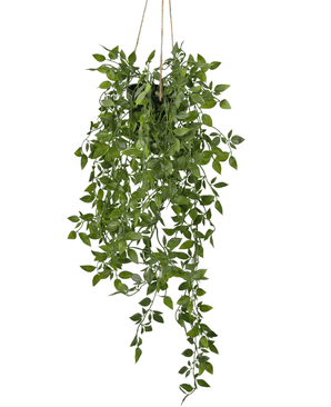 Plante artificielle tombante Scindapsus dans un pot de 73 cm