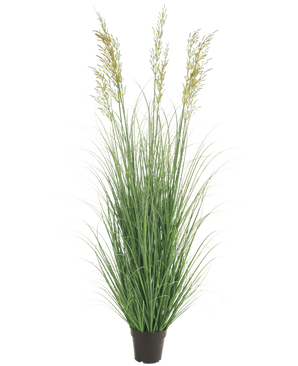 Plante d'herbe artificielle Blé 180 cm