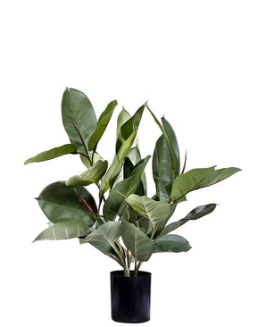 Plante de caoutchouc artificiel 51 cm