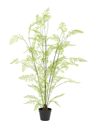 Plante de fougère artificielle 140 cm